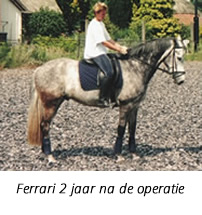 Ferrari 2 jaar na de operatie